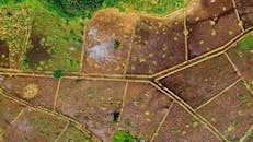Top-down view of lush farmland with unique patterns and greenery